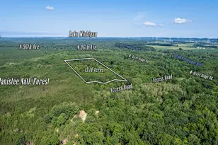1245 W River Ridge Rd, Pentwater, MI 49449 - Photo 1