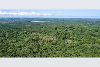 1245 W River Ridge Road, Pentwater, MI 49449 - Photo 6
