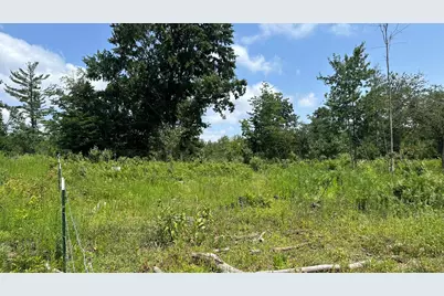 17290 Pierce Road, Stanwood, MI 49346 - Photo 4
