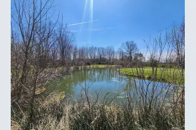 265 W Pearl Road, Coldwater, MI 49036 - Photo 36