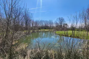 265 W Pearl Rd, Coldwater, MI 49036 - Photo 36