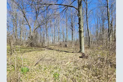 265 W Pearl Road, Coldwater, MI 49036 - Photo 38