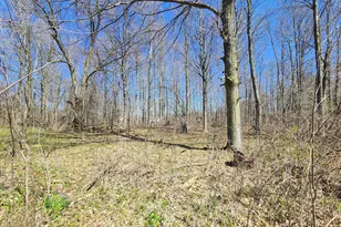 265 W Pearl Rd, Coldwater, MI 49036 - Photo 38