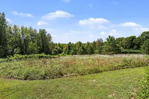 10064 Love Rd, Bellevue, MI 49021 - Photo 36