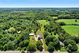 10064 Love Rd, Bellevue, MI 49021 - Photo 42
