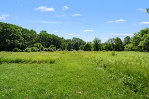 9299 W Ave E, Vicksburg, MI 49097 - Photo 46