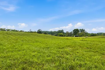 7310 Steinbach Road, Manchester, MI 48158 - Photo 46