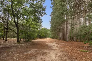 15357 Homestead Rd, Thompsonville, MI 49683 - Photo 26