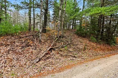 00000 E 48 1/2 Road, Cadillac, MI 49601 - Photo 12
