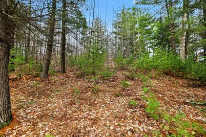 00000 E 48 1/2 Road, Cadillac, MI 49601 - Photo 6