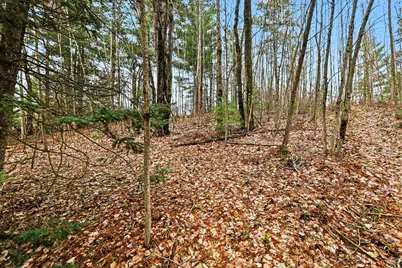 00000 E 48 1/2 Road, Cadillac, MI 49601 - Photo 18