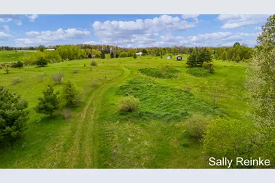 V/L 9 Mile Rd Road, Reed City, MI 49677 - Photo 4