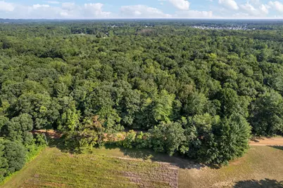 Vl Par A Buchanan, West Olive, MI 49460 - Photo 4