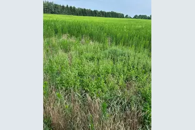 V/L W Y Avenue, Schoolcraft, MI 49087 - Photo 2