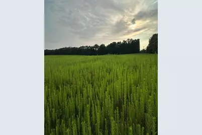 V/L W Y Avenue, Schoolcraft, MI 49087 - Photo 10