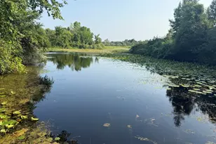 1306 122nd Ave, Hopkins, MI 49328 - Photo 24
