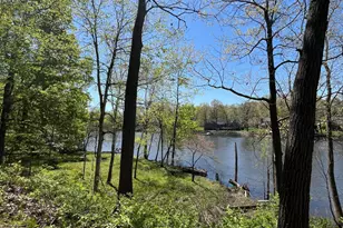 201 Scenic View Dr, Niles, MI 49120 - Photo 48