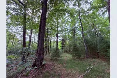 Us-31, Manistee, MI 49660 - Photo 6