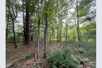Us-31, Manistee, MI 49660 - Photo 10