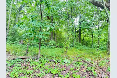 1246 S Locust Avenue, White Cloud, MI 49349 - Photo 4