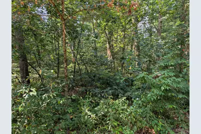 Lewis Street, Baldwin, MI 49304 - Photo 2