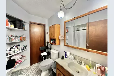 2607 Thompson Street, Osseo, MI 49266 - Photo 38
