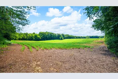 12753 Bliss Road, Marcellus, MI 49067 - Photo 28