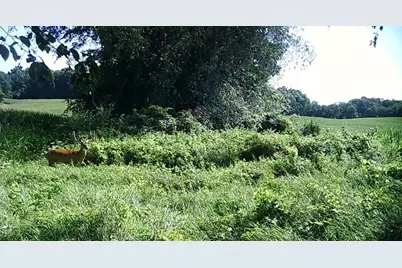 12753 Bliss Road, Marcellus, MI 49067 - Photo 2
