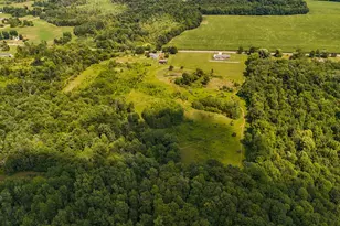 1963 Shaw Rd, Bailey, MI 49303 - Photo 48
