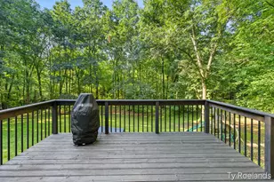 99 Radny Dr SE, Lowell, MI 49331 - Photo 18
