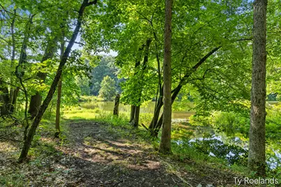 99 Radny Drive SE, Lowell, MI 49331 - Photo 4