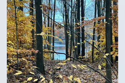 Alpine Dr. Drive, Reed City, MI 49677 - Photo 2