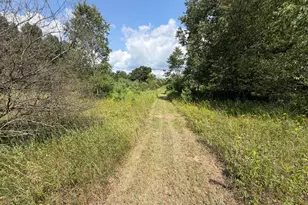 1585 Clinton Ln, White Cloud, MI 49349 - Photo 46