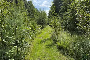 1585 Clinton Ln, White Cloud, MI 49349 - Photo 8