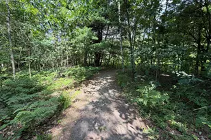 1585 Clinton Ln, White Cloud, MI 49349 - Photo 44
