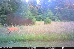 1585 Clinton Ln, White Cloud, MI 49349 - Photo 36