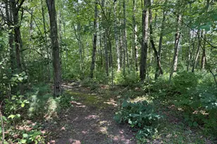 1585 Clinton Ln, White Cloud, MI 49349 - Photo 40