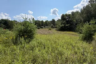 1585 Clinton Ln, White Cloud, MI 49349 - Photo 50