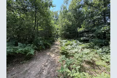 1585 Clinton Lane, White Cloud, MI 49349 - Photo 42