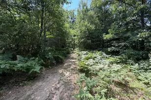 1585 Clinton Ln, White Cloud, MI 49349 - Photo 42