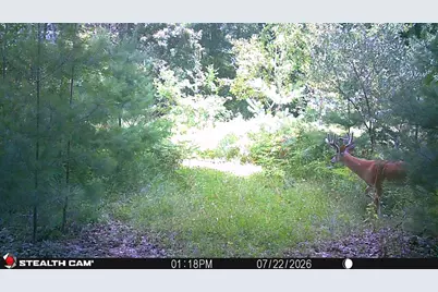 1585 Clinton Lane, White Cloud, MI 49349 - Photo 6