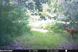 1585 Clinton Ln, White Cloud, MI 49349 - Photo 6