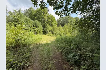 1585 Clinton Lane, White Cloud, MI 49349 - Photo 48