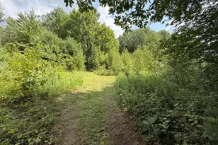 1585 Clinton Ln, White Cloud, MI 49349 - Photo 48