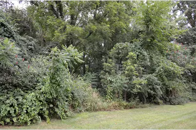 V/L Silverstone Drive, Three Rivers, MI 49093 - Photo 2