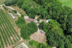 6749 W Taylor Rd, Mears, MI 49436 - Photo 58