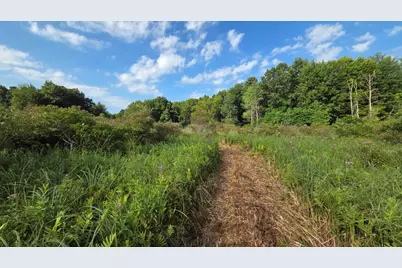 N Q Drive, Marshall, MI 49068 - Photo 34