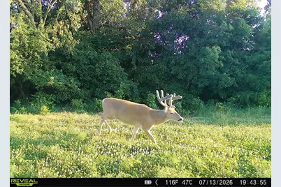V/L N Q Drive, Marshall, MI 49068 - Photo 64