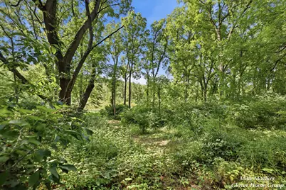 N Q Drive, Marshall, MI 49068 - Photo 50