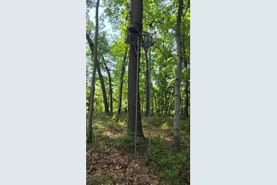 N Q Drive, Marshall, MI 49068 - Photo 62